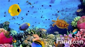 海洋之眼爆料视频大全,视频大全深度解析 第2张 海洋之眼爆料视频大全,视频大全深度解析 第2张